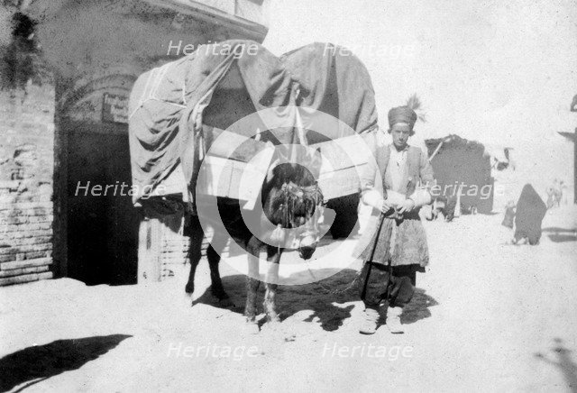 Persian donkey transport, Baghdad, Iraq, 1917-1919. Artist: Unknown