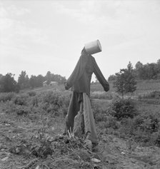 Untitled, possibly realted to: Scarecrow on a newly cleared..., near Roxboro, North Carolina, 1939. Creator: Dorothea Lange.
