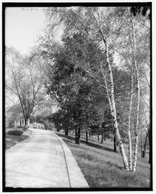 Driveway, Walnut Hills, Cincinnati, Ohio, between 1900 and 1910. Creator: Unknown.