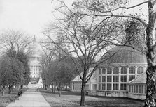 Botanical Gardens At The Capitol, 1917. Creator: Harris & Ewing.