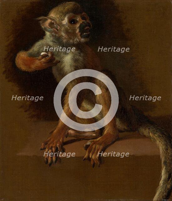 A Seated Monkey, before 1685. Creator: Jan Weenix.