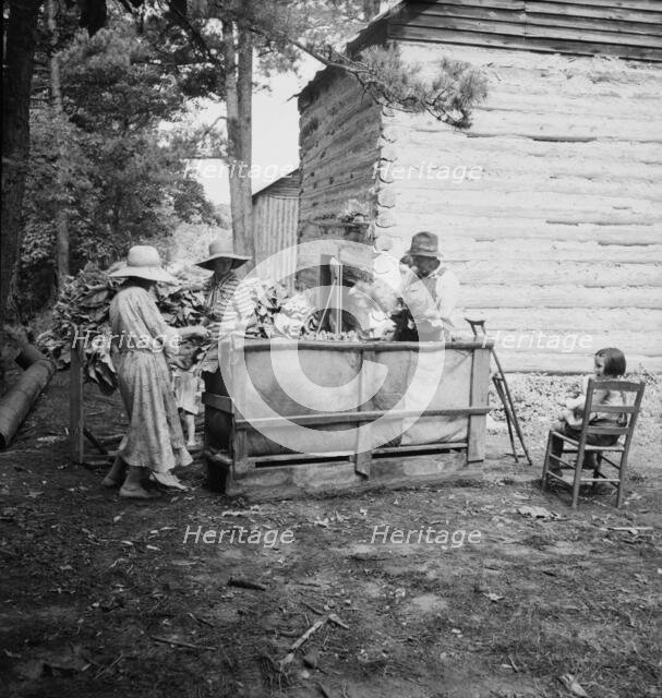 Wives of tobacco tenants pile the tobacco..., Granville County, North Carolina, 1939. Creator: Dorothea Lange.