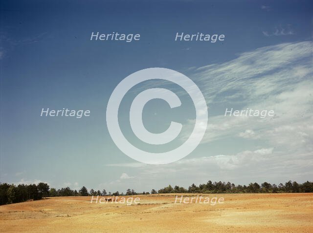 Farm Security Administration borrower plowing on the Jones farm, vicinity of Greshamville, Ga., 1941 Creator: Jack Delano.