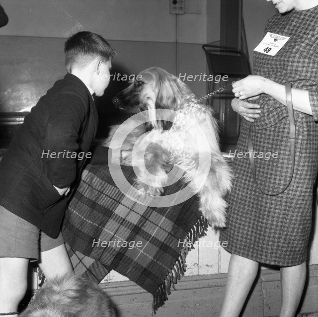 Child with an Afghan Hound at a dog show in Horden, County Durham, 1963.  Artist: Michael Walters