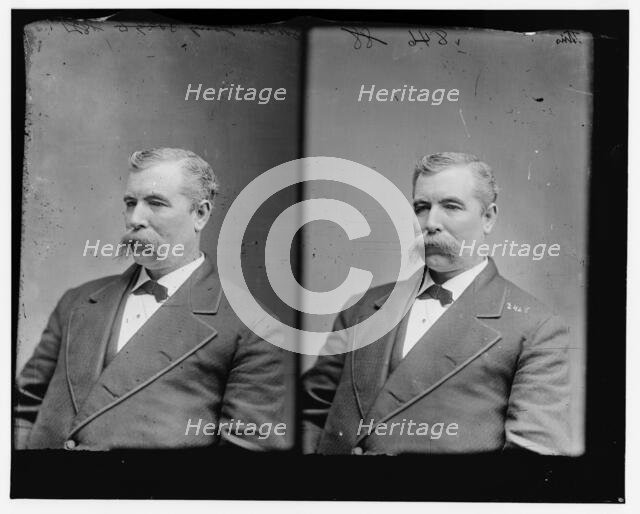 Thomas L. Young of Ohio, 1865-1880. Creator: Unknown.