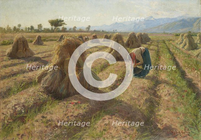 Harvest, 1898. Creator: Danielson-Gambogi, Elin (1861-1919).