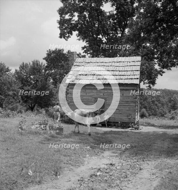 Log home of non-farm family, Orange County, North Carolina, 1939. Creator: Dorothea Lange.