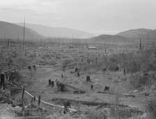 Another stump farm, fenced, showing general characteristics of..., Bonner County, Idaho, 1939. Creator: Dorothea Lange.