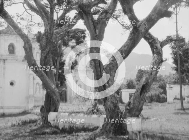 Travel views of Cuba and Guatemala, between 1899 and 1926. Creator: Arnold Genthe.