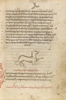 A Dog, 1510-1520. Creator: Unknown.