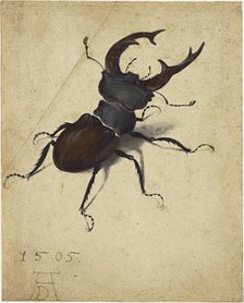 Stag Beetle, 1505. Creator: Dürer, Albrecht (1471-1528).
