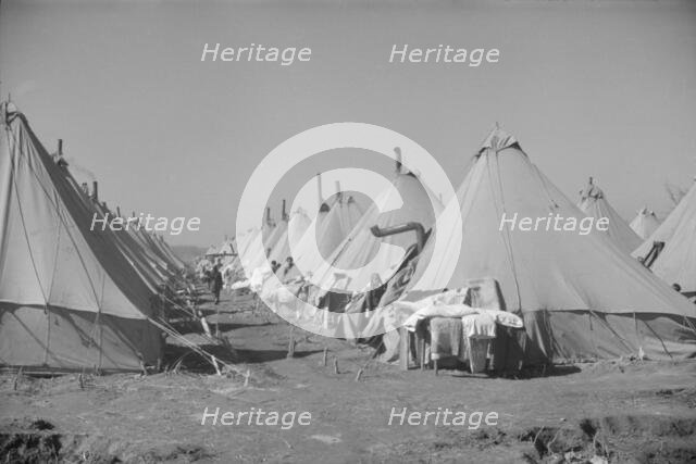 Flood refugee encampment at Forrest City, Arkansas, ca. 1937. Creator: Walker Evans.