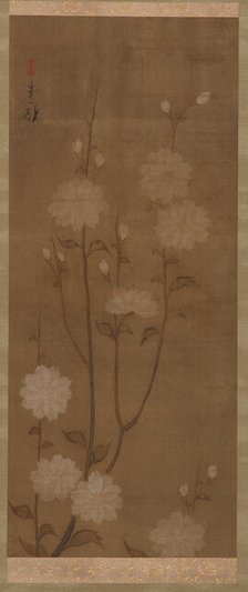 Drooping cherry branches in blossom, Edo period, mid 18th-early 19th century. Creator: Sakai Hoitsu.