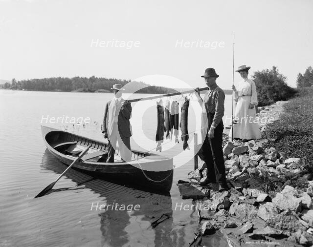 A Morning's catch in the Adirondacks, c1903. Creator: Unknown.