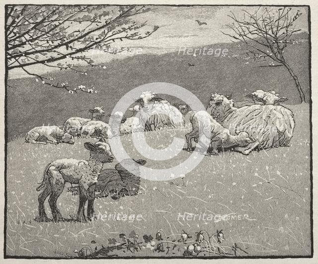 Spring Lamb, 1880. Creator: Winslow Homer (American, 1836-1910).