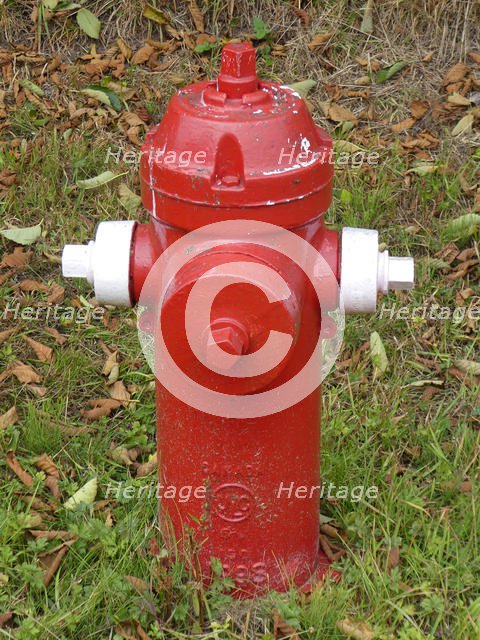 Fire Hydrant in British Columbia, Canada. Creator: Unknown.