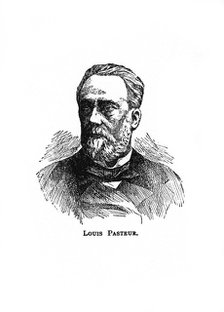 Louis Pasteur, 19th century French microbiologist and chemist, (20th century). Artist: Unknown