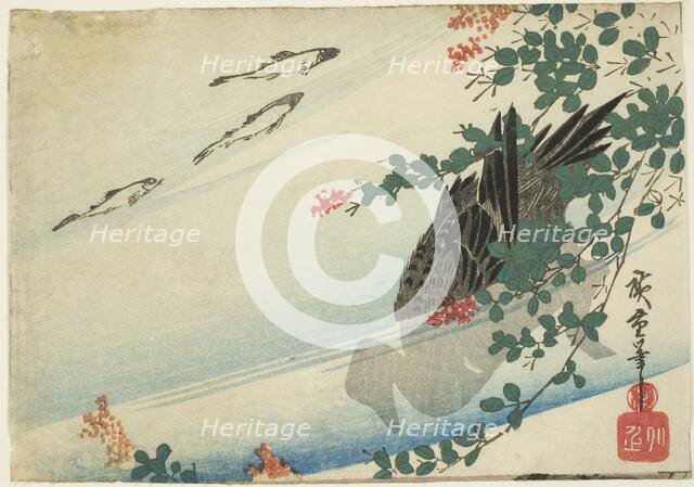 Trout, duck, and bush clover, c. 1840. Creator: Ando Hiroshige.