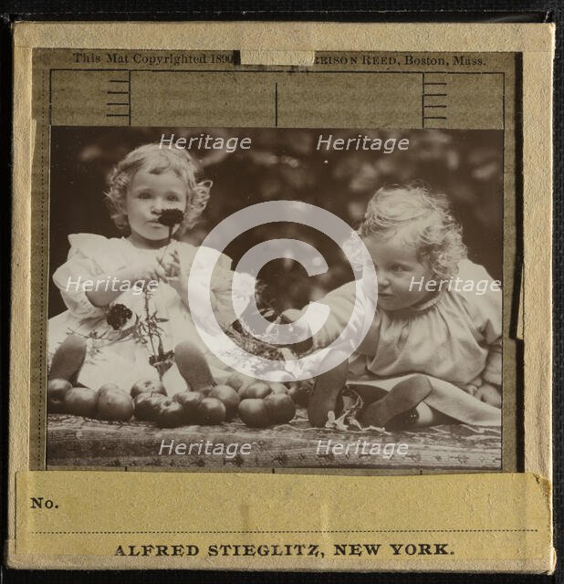 Nieces - Flora holding flower, and Hedwig, c. 1896. Creator: Alfred Stieglitz.