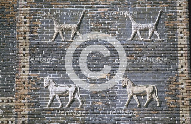 Dragons and bulls, glazed bricks, Ishtar Gate, Babylon, Iraq.