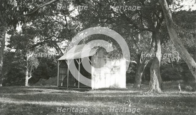 Opening of the tram service to The Spit, 1900. Creator: Unknown.