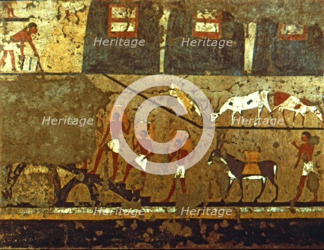 Grain storage, painting from a tomb.