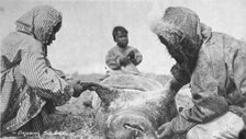 Eskimos skinning a seal, between c1900 and c1930. Creator: Unknown.