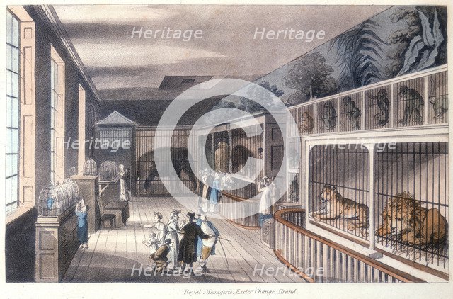 'Royal Menagerie, Exeter Change, Strand, London', c1820. Artist: Unknown