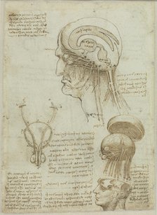A manuscript sheet with anatomical drawings and notes, 1506-1508. Creator: Leonardo da Vinci (1452-1519).