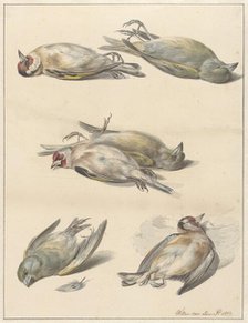 Six dead birds, 1803. Creator: Willem van Leen.