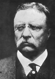 Theodore Roosevelt (1858-1919), twenty-sixth president of the United States, c1900s. Artist: Unknown
