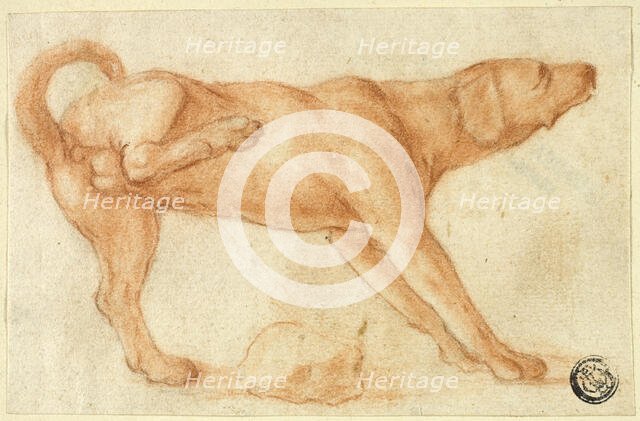 Dog Urinating on Rock, 1695-1721. Creator: Dirk Valkenburg.