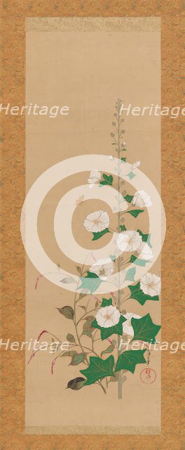 Hollyhocks and Prince’s-Feather Flowers, early 19th century. Creator: Sakai Oho.