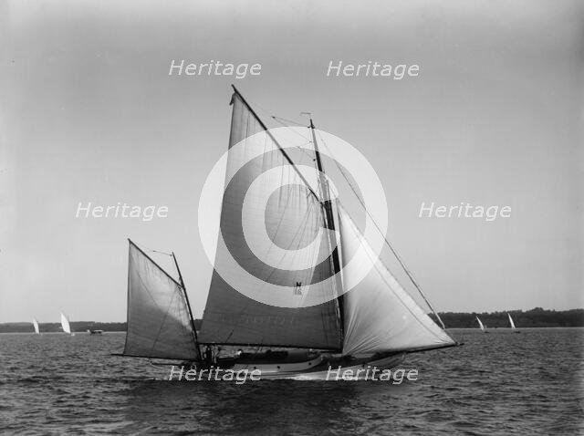 Fidelio, 1896 Aug 1. Creator: John S Johnston.