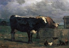Cattle at the Trough, c1840-1860. Creator: Constant Troyon.