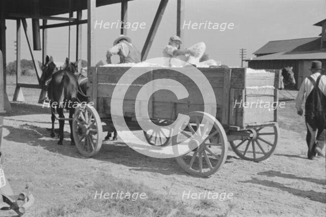 At the cotton gin, Cotton gin and wagons, Hale County, Alabama, 1936. Creator: Walker Evans.