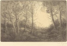 Sunrise, Woods of Clamard (Lever du soleil, bois de Clamard). Creator: Alphonse Legros.