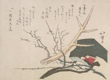 Hat, Deer-Horn and Plum Branch, Representing Jurojin, the God of Life, 19th century. Creator: Totoya Hokkei.