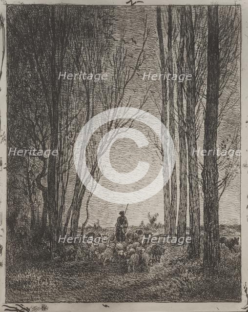 Gathering in the Flock, original impression 1862, printed in 1921. Creator: Charles François Daubigny (French, 1817-1878).