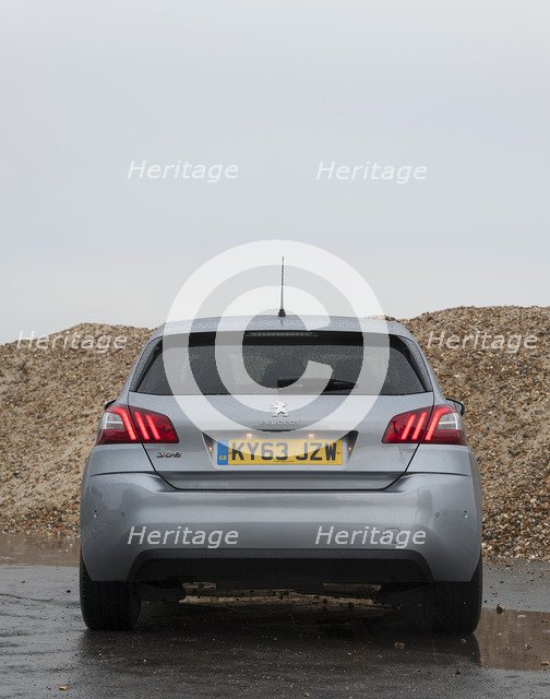 2014 Peugeot 308 THP 156 Feline Artist: Unknown.