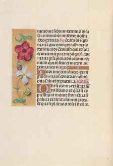 Hours of Queen Isabella the Catholic, Queen of Spain: Fol. 111v, c. 1500. Creator: Master of the First Prayerbook of Maximillian (Flemish, c. 1444-1519); Associates, and.