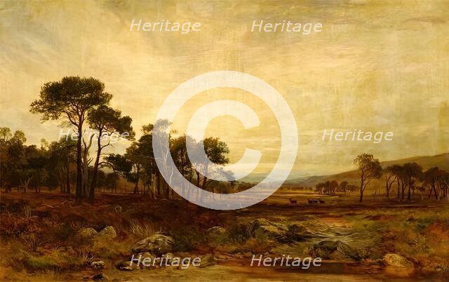 Glen Dee Deer-Forest, 1869. Creator: James Docharty.