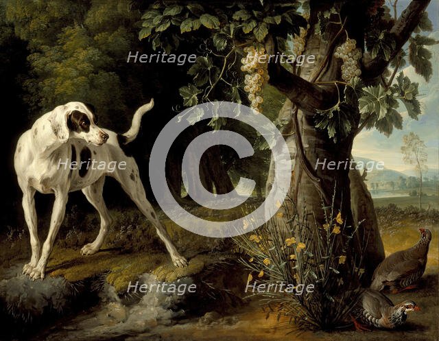 Landscape with a Dog and Partridges, 1719. Creator: Alexandre François Desportes.