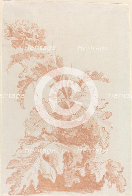Poppy in Bloom, mid 1760s. Creator: Jean Baptiste Marie Huet.