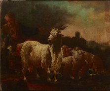 Goats and Sheep, c1690. Creator: Philipp Peter Roos.