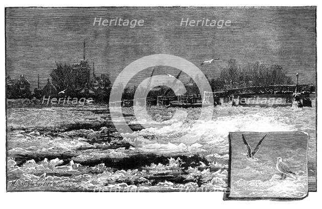 Wintry weather on the Thames: the river at Putney, 1881. Creator: Unknown.