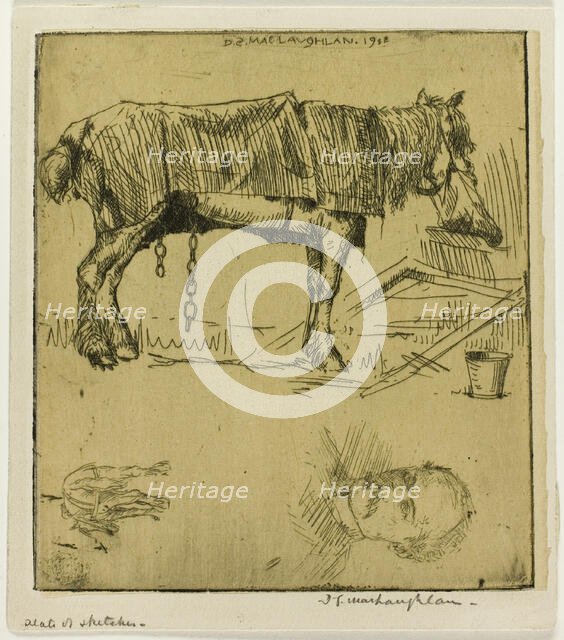 Plate of Sketches, 1902. Creator: Donald Shaw MacLaughlan.