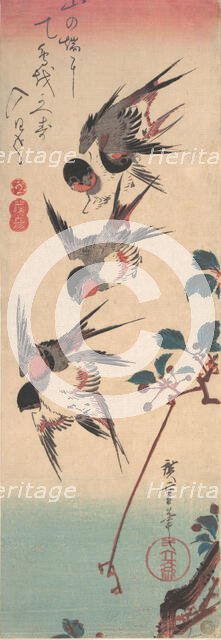 Swallows and Wild Cherry, ca. 1834., ca. 1834. Creator: Ando Hiroshige.