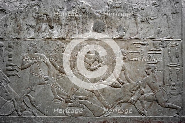 Relief depicting an ox slaughter, Mastaba of Mereruka, Saqqara, Egypt, Old Kingdom, 2003. Creator: Unknown.
