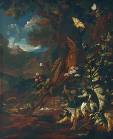 Landscape with reptiles and insects (I), c1730/1740. Creator: Johann Adalbert Angermayer.